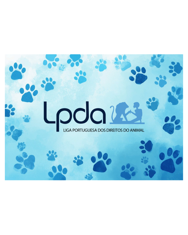 Tapete para Rato LPDA 1 (Teste)